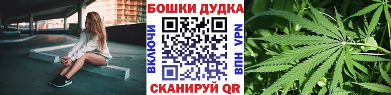 Купить где  Пугачёв  Каннабис OG Kush 